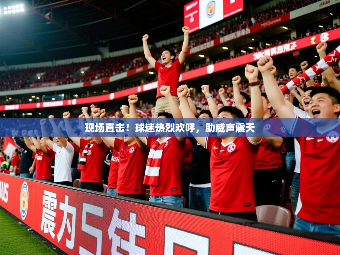 2025米兰体育app官方下载现场直击！球迷热烈欢呼，助威声震天