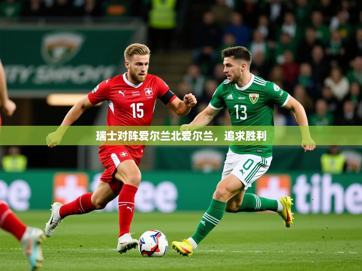 2025米兰体育官网网页版网页瑞士对阵爱尔兰北爱尔兰，追求胜利  第2张