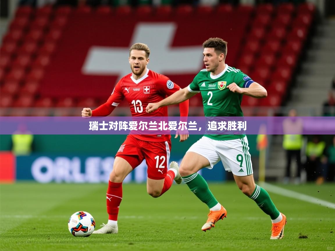 2025米兰体育官网网页版网页瑞士对阵爱尔兰北爱尔兰，追求胜利  第3张