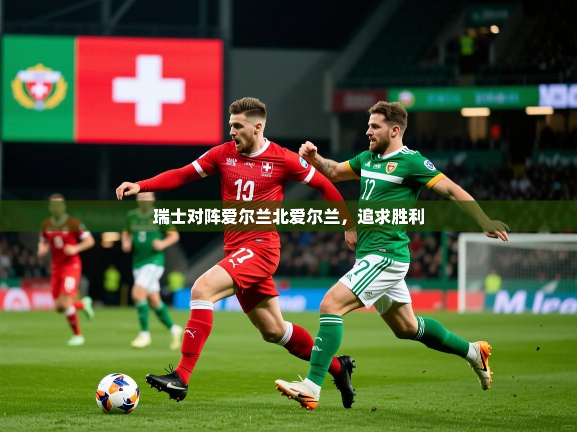 2025米兰体育官网网页版网页瑞士对阵爱尔兰北爱尔兰，追求胜利  第4张