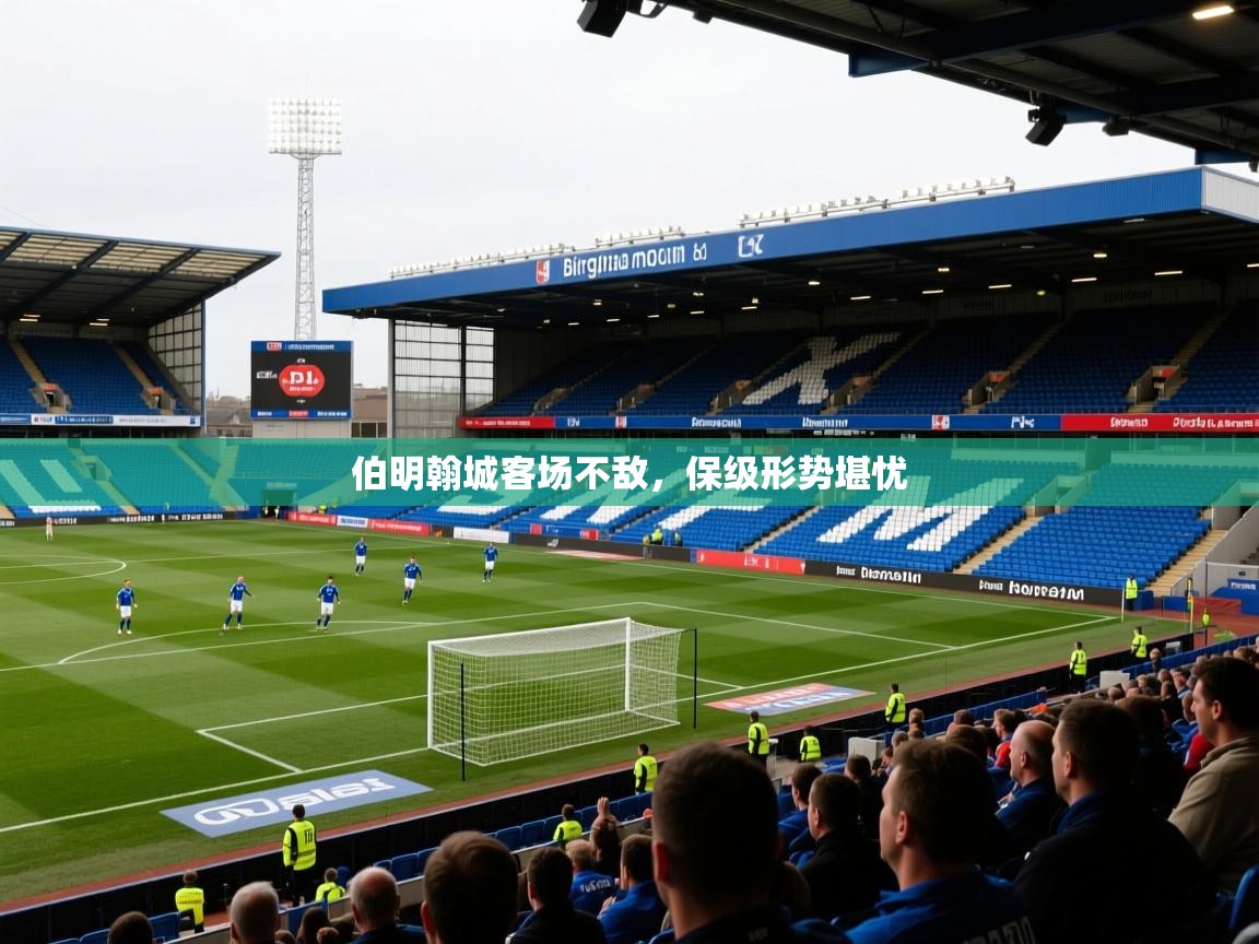 2026米兰体育官网网页版伯明翰城客场不敌，保级形势堪忧  第4张